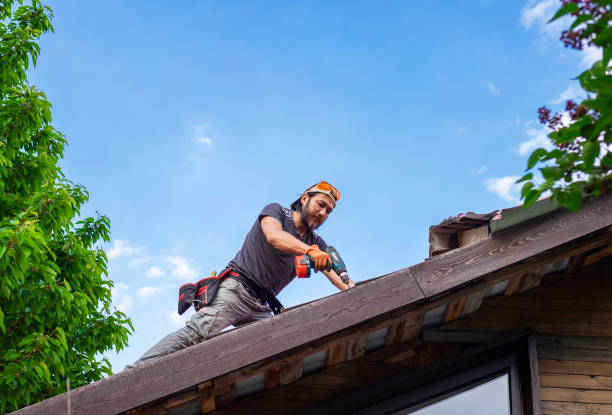 Best Roof Leak Repair  in Newton, KS