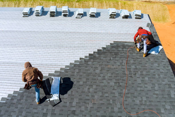 Best Metal Roofing Installation  in Newton, KS